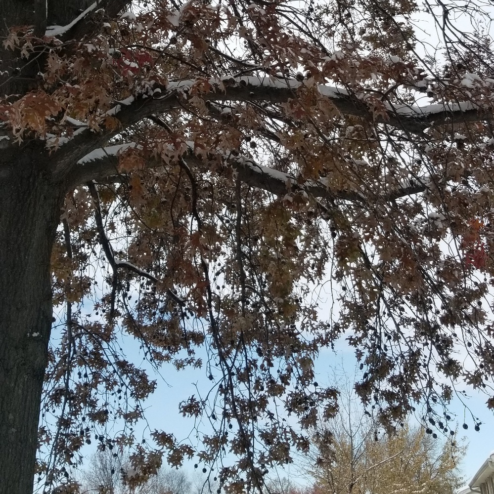 Hello! - Picture 2 of 7